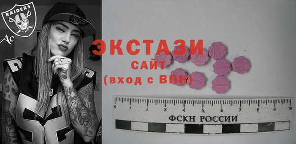 индика Краснотурьинск