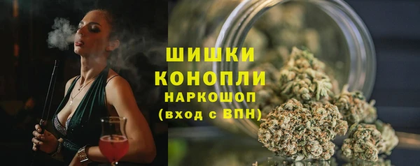 СК Туринск