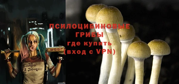 дмт Краснослободск