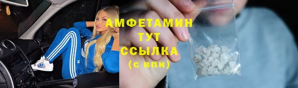 индика Краснотурьинск
