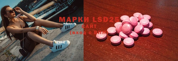 индика Краснотурьинск