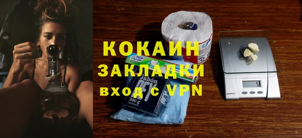 дмт Краснослободск