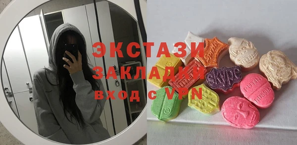 индика Тында