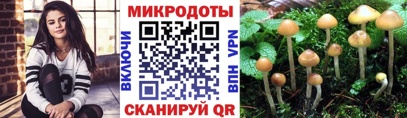 Псилоцибиновые грибы прущие грибы  где купить наркоту  Яблоновский 
